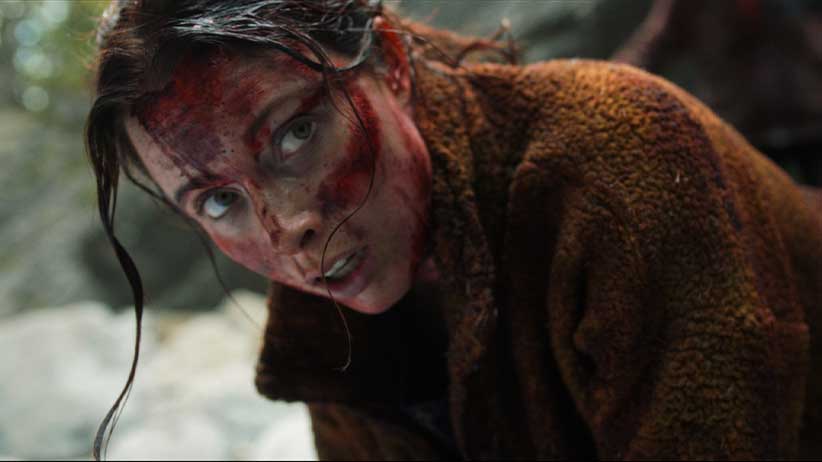 Dark Nature Still #1