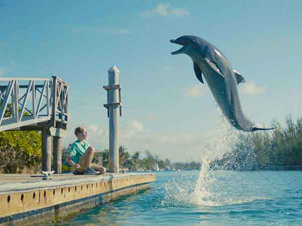 Dolphin Kick Still #2